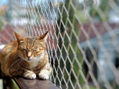 Protege a tu gato con una red de protección para balcones